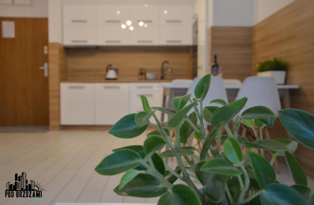 Pod Brzozami Apartamenty Dwie Sosny อุสตรอเนียมอร์สเกีย ภายนอก รูปภาพ