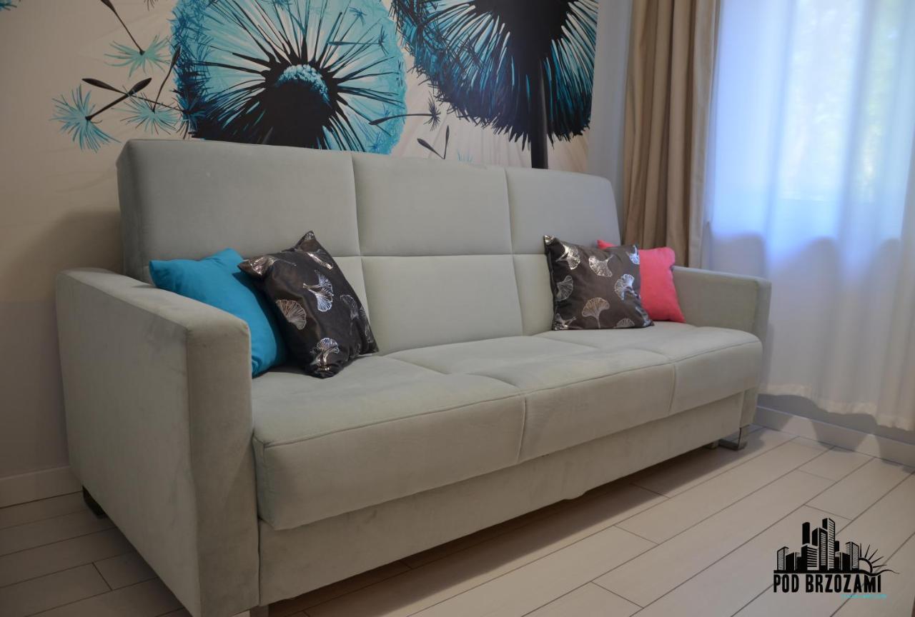 Pod Brzozami Apartamenty Dwie Sosny อุสตรอเนียมอร์สเกีย ภายนอก รูปภาพ